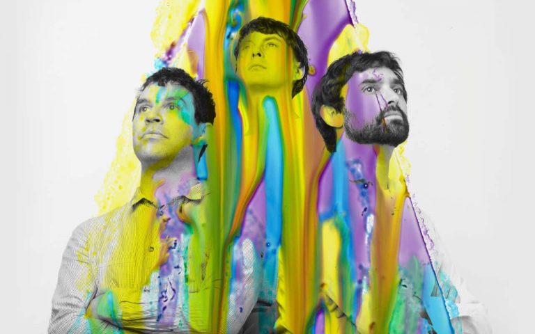 immagine per Animal Collective