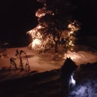 immagine per Riikka Vainio