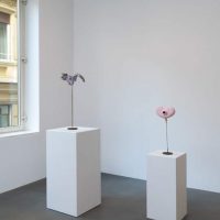 immagine per Franz West