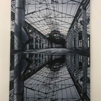 imagine per ArteFiera 2019