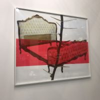imagine per ArteFiera 2019