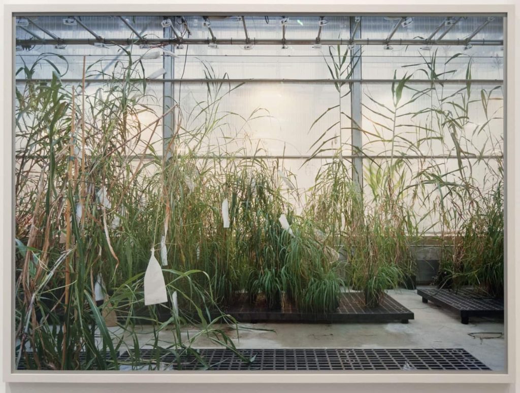 immagine per Thomas Struth