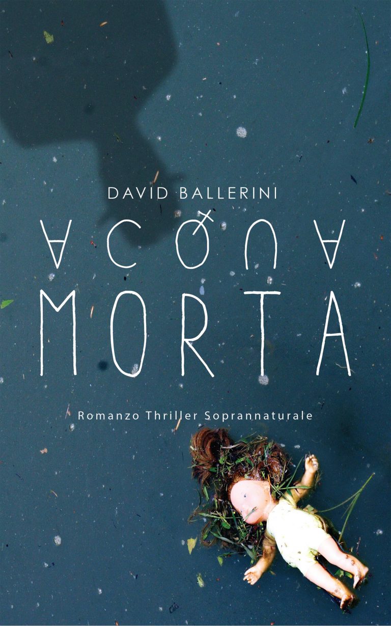 immagine per David Ballerini