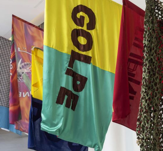 immagine per FIlippo Minelli