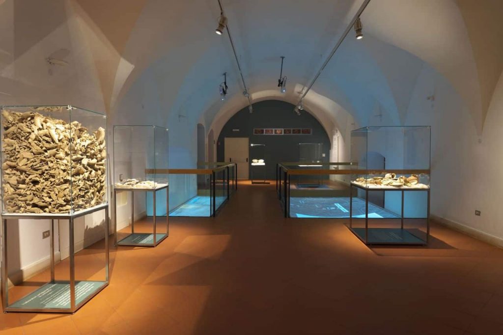 museo archeologico