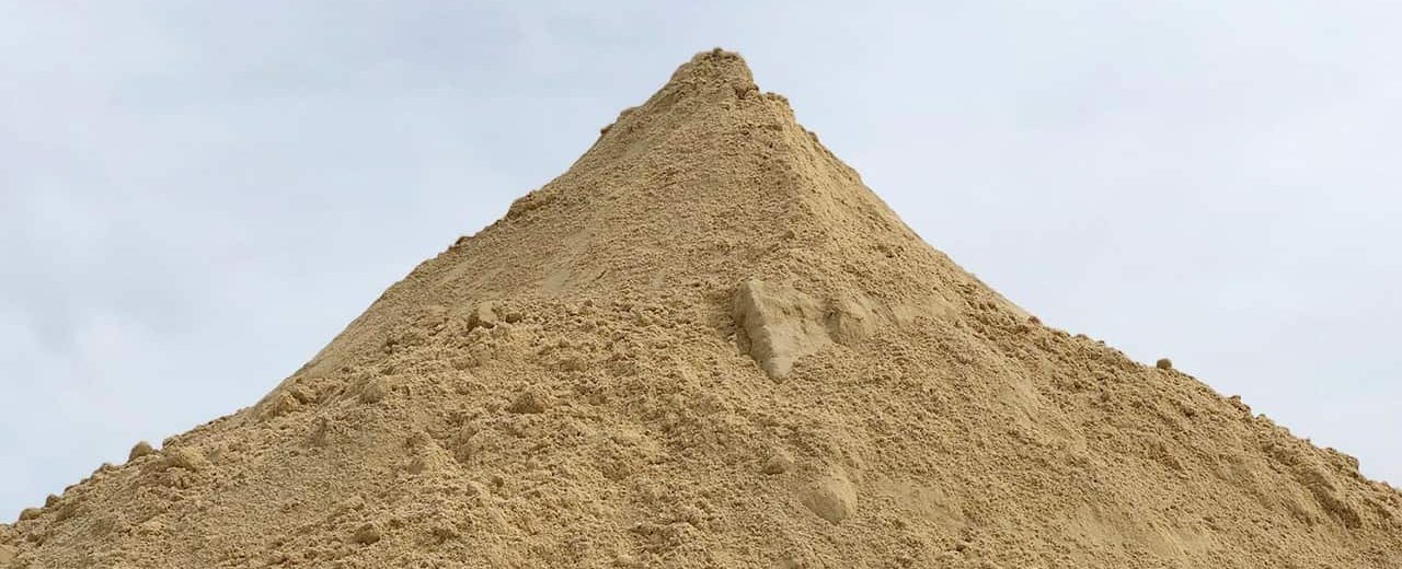immagine per Sveva Angeletti
