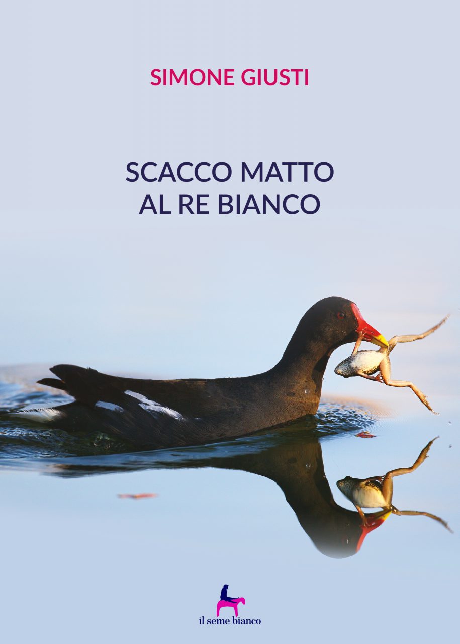Copertina per Scacco matto al re bianco