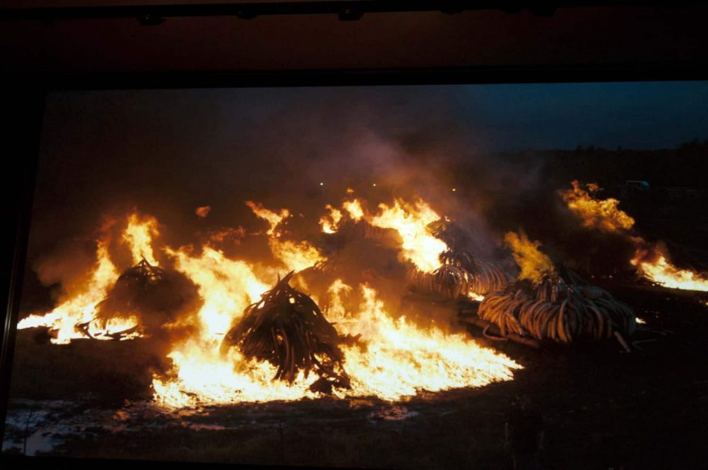 MAST - Anthropocene_J. Baichwal, E. Burtynsky, N. De Pencier_Rogo delle zanne in Kenya (frame dal film)_ph. Federica Casetti