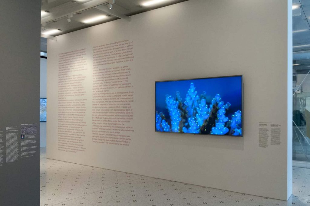 MAST - Anthropocene_J. Baichwal, N. De Pencier_Barriera corallina (frame da video)_ph. Federica Casetti