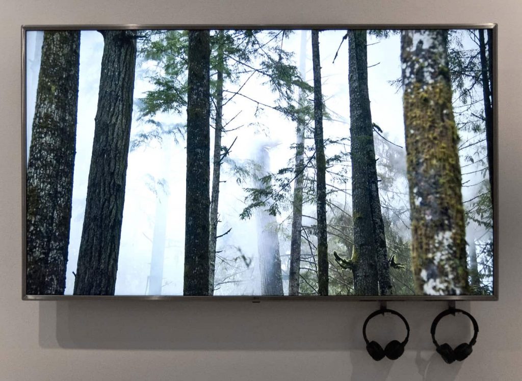 MAST - Anthropocene_J. Baichwal, N. De Pencier_Esplosione di alberi pericolosi (frame da video)_ph. Federica Casetti