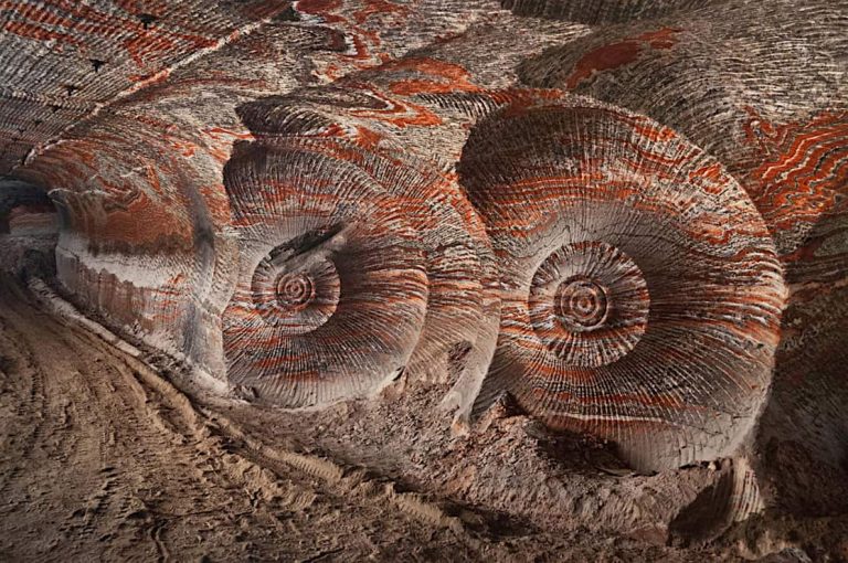 immagine per anthropocene