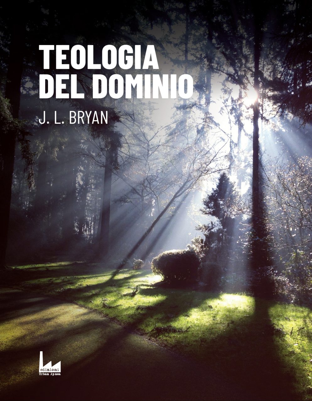 immagine per Teologia del Dominio