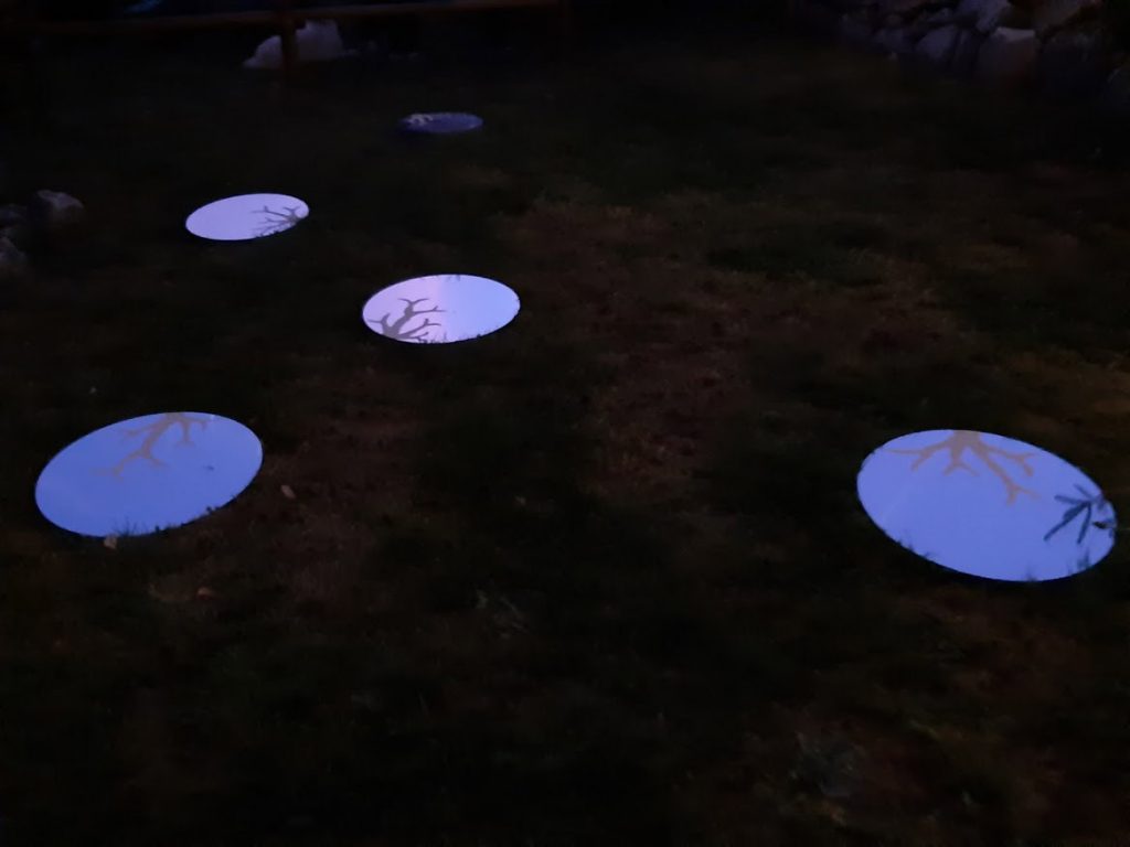 immagine per Land Art al Momu