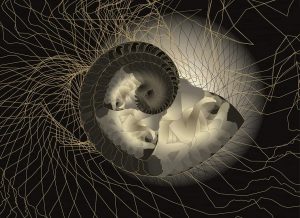 immagine per Jean-Claude Meynard