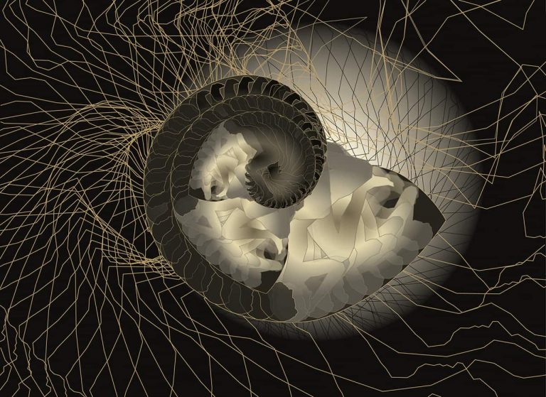 immagine per Jean-Claude Meynard