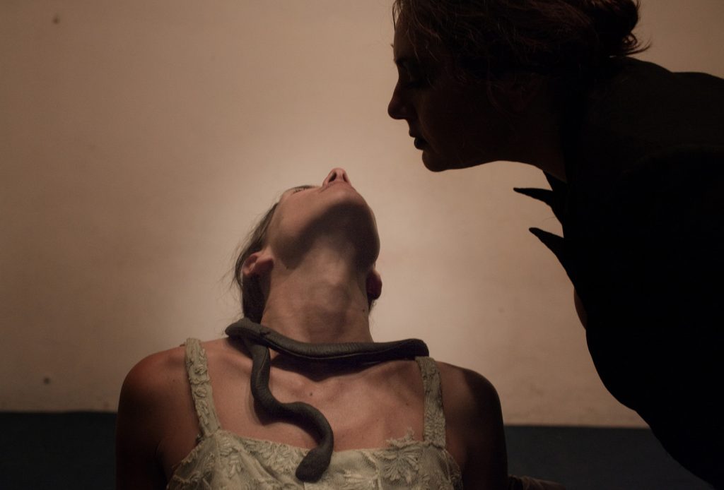 immagine per Circus Dark Queen