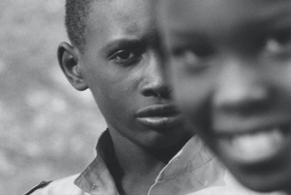 immagine per Destination Africa