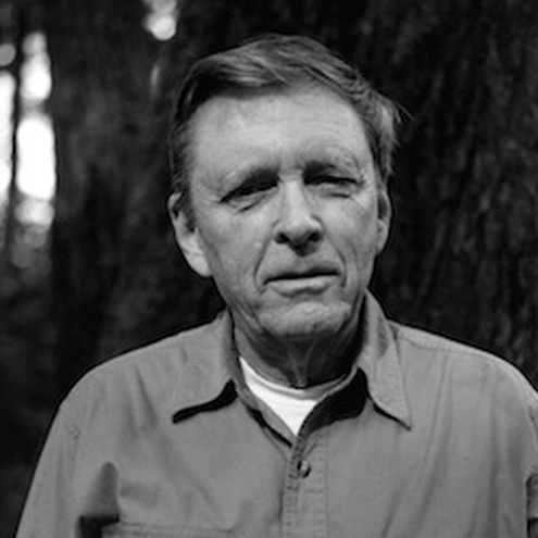 immagine per Robert Adams