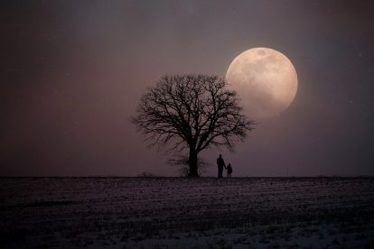 immagine per La luna di Natale