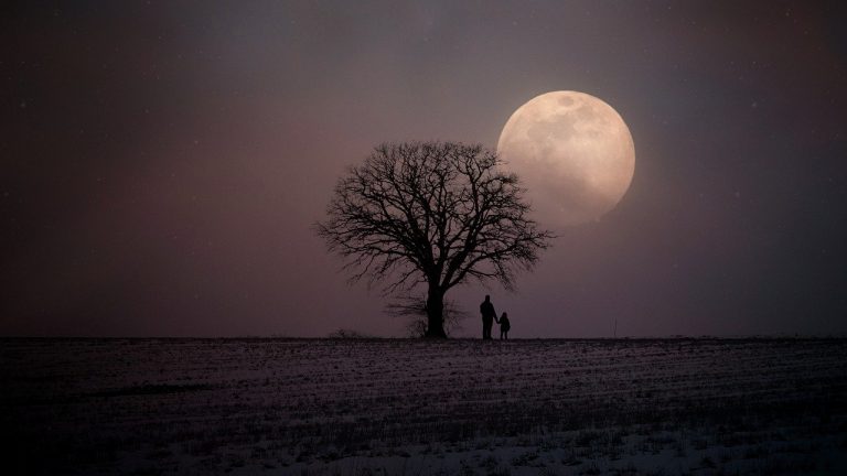 immagine per La luna di Natale