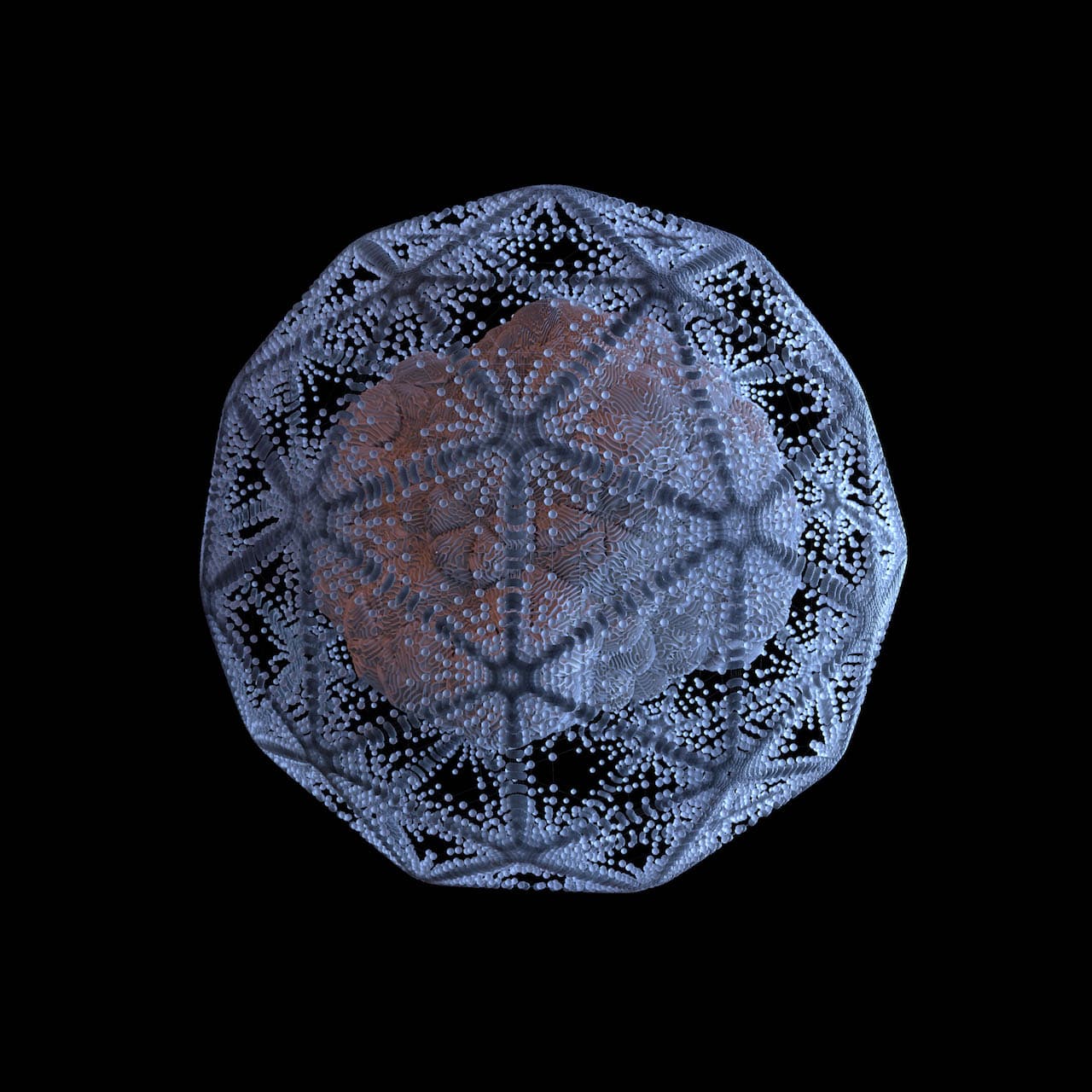 immagine per Prologue diatoms in the multiverse