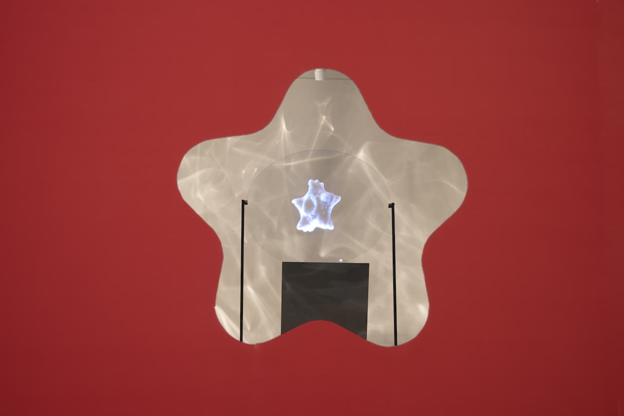 immagine per Prologue diatoms in the multiverse