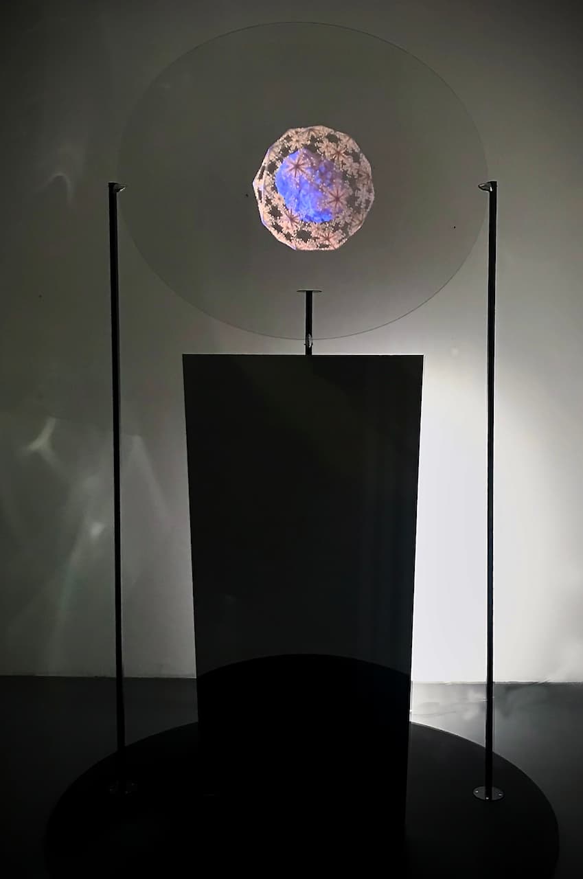 immagine per Prologue diatoms in the multiverse