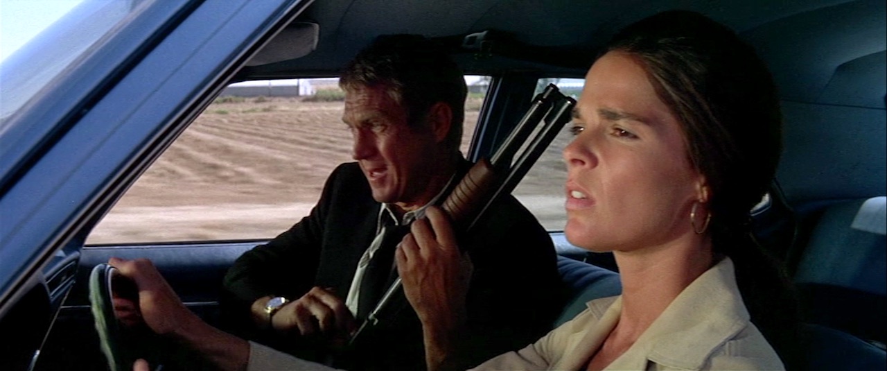 immagine per Steve McQueen & Ali MacGraw