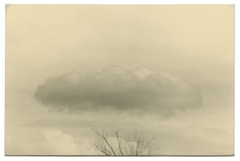 immagine per Yamamoto