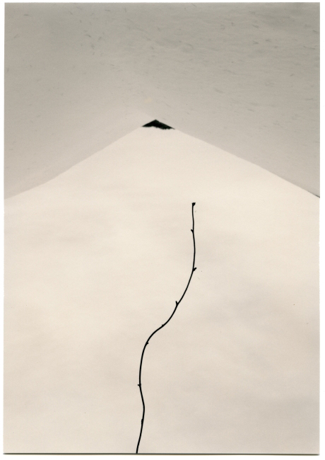 immagine per Masao Yamamoto