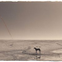 immagine per Masao Yamamoto
