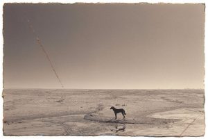 immagine per Masao Yamamoto
