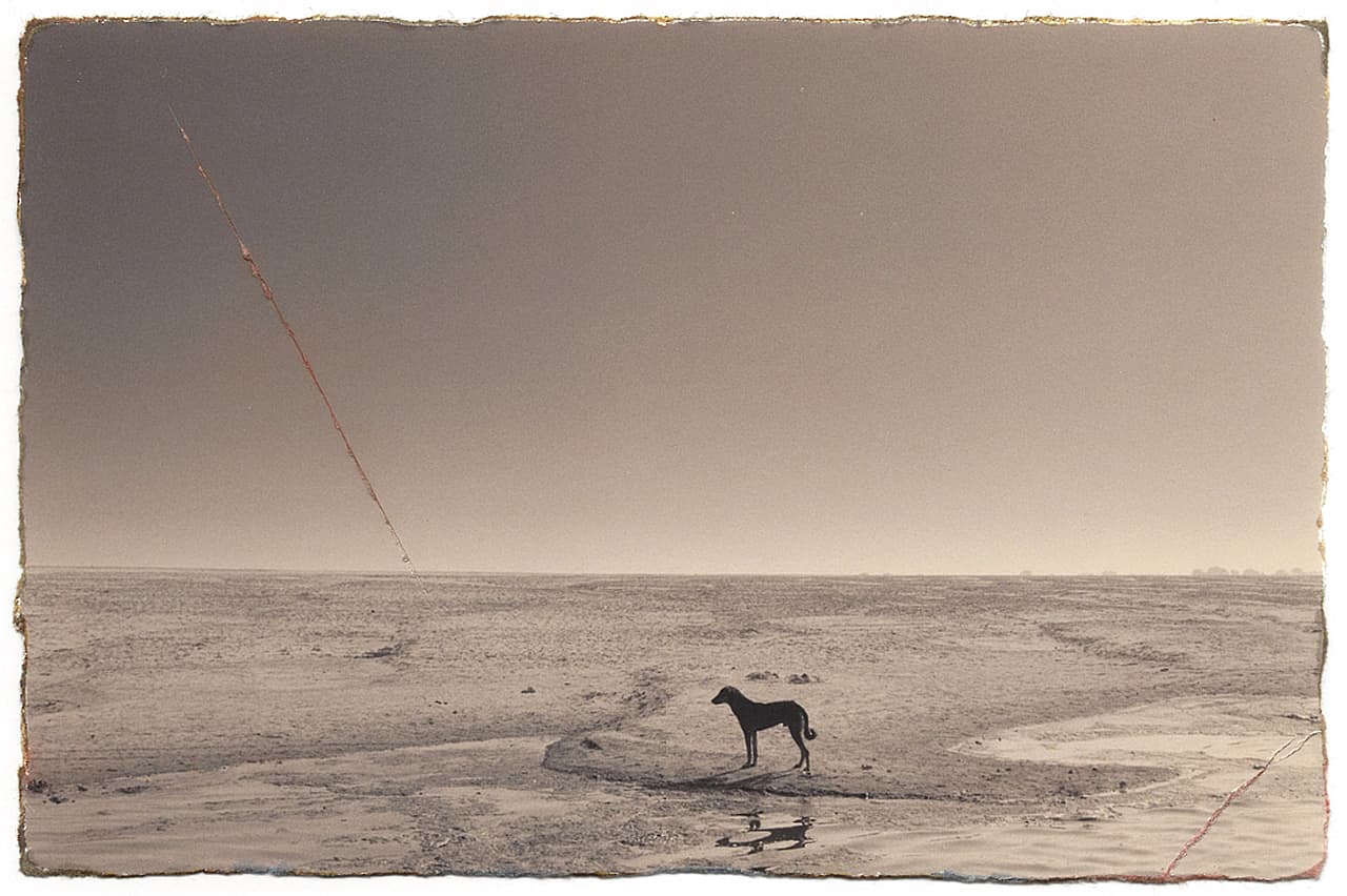 immagine per Masao Yamamoto