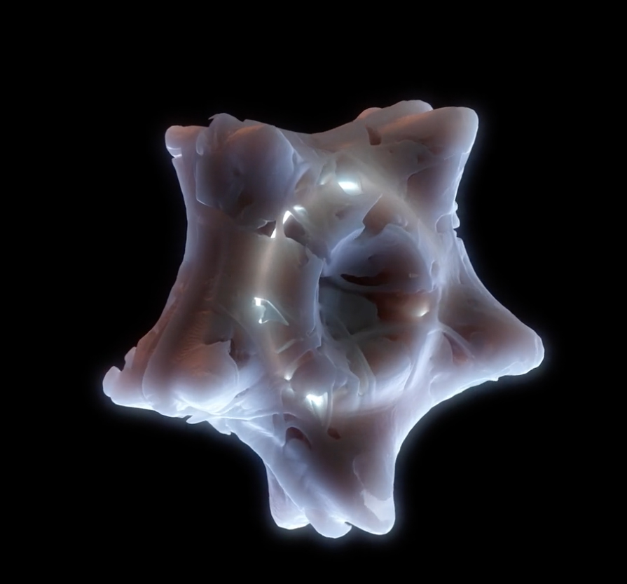 immagine per Prologue diatoms in the multiverse