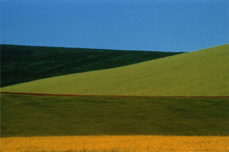 Ritratto Paesaggio Astratto. Museo di Fotografia Contemporanea - art a ...