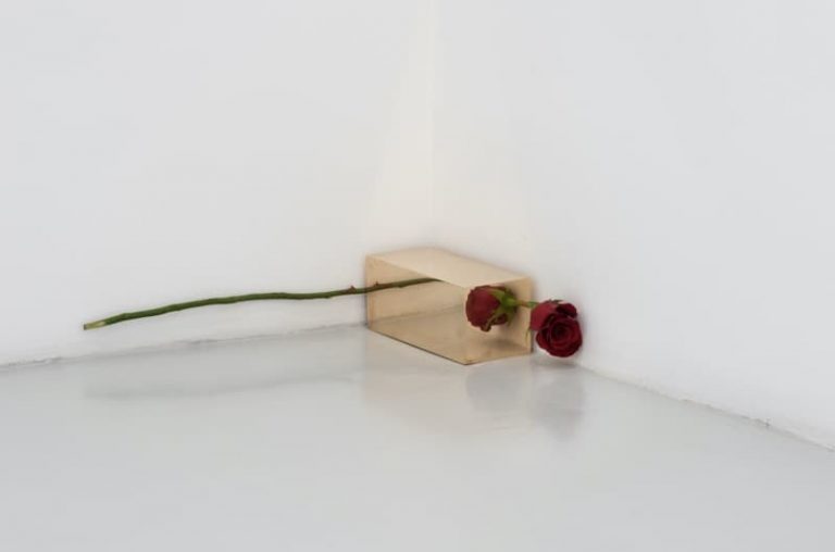immagine per Francesco Arena otto angoli