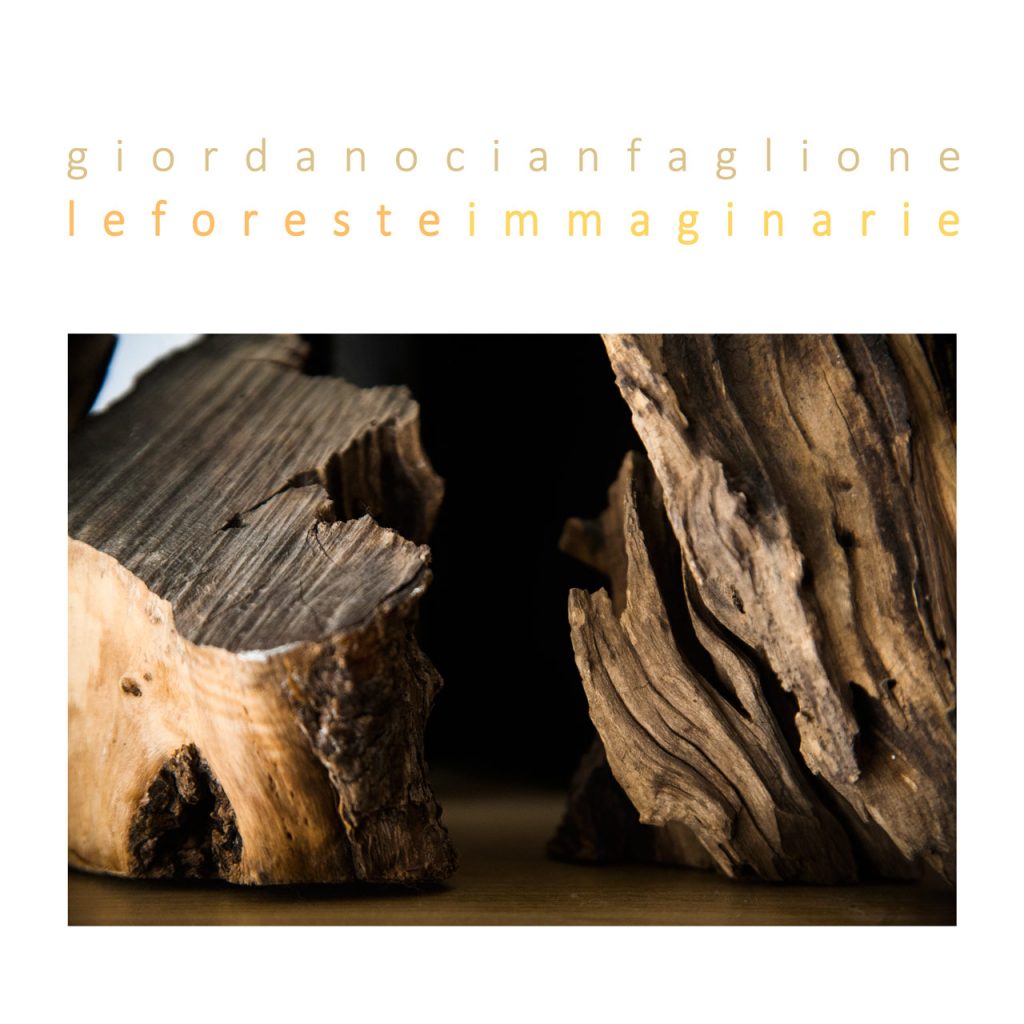 immagine per Le foreste immaginarie