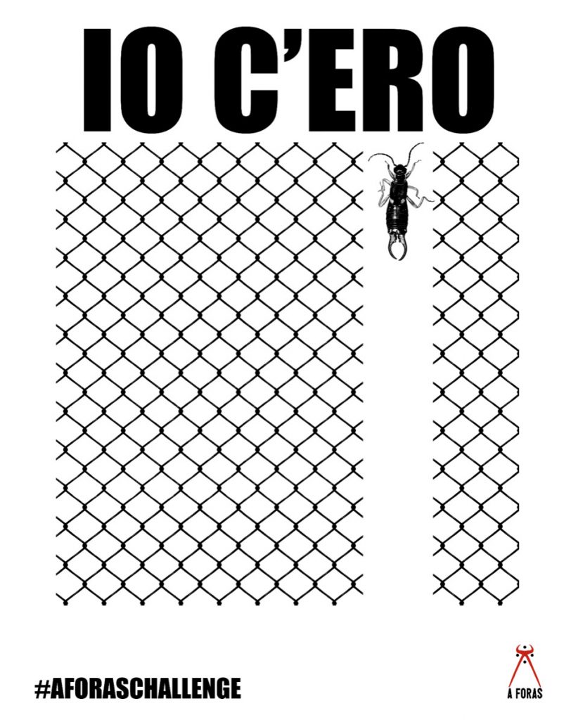 immagine per A Foras Challenge