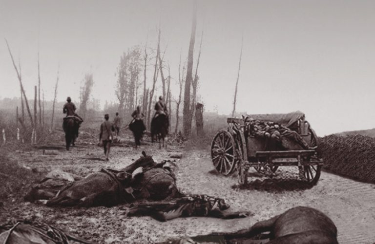 immagine per IndipendenteMente #51. Animali in guerra, vittime innocenti di Vincenzo Di Michele