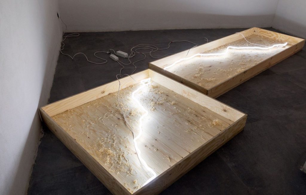 immagine per Simone Cametti. Primitivo, Shazar Gallery a Napoli