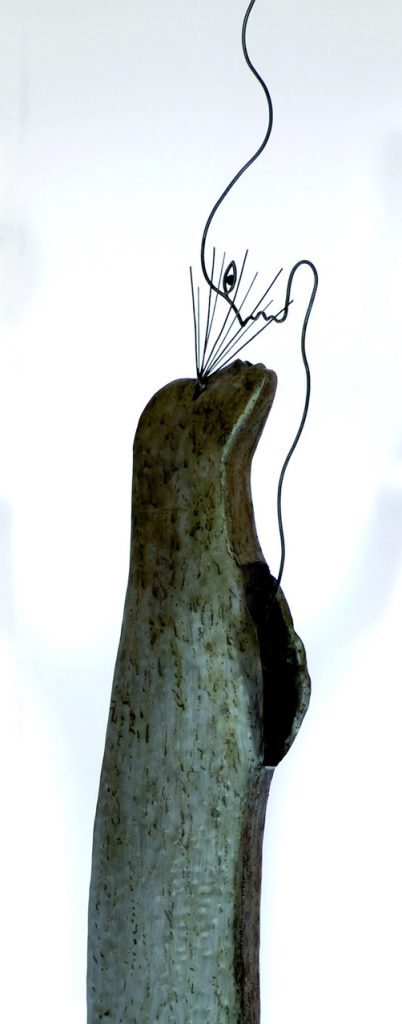 immagine per Riccardo Dalisi