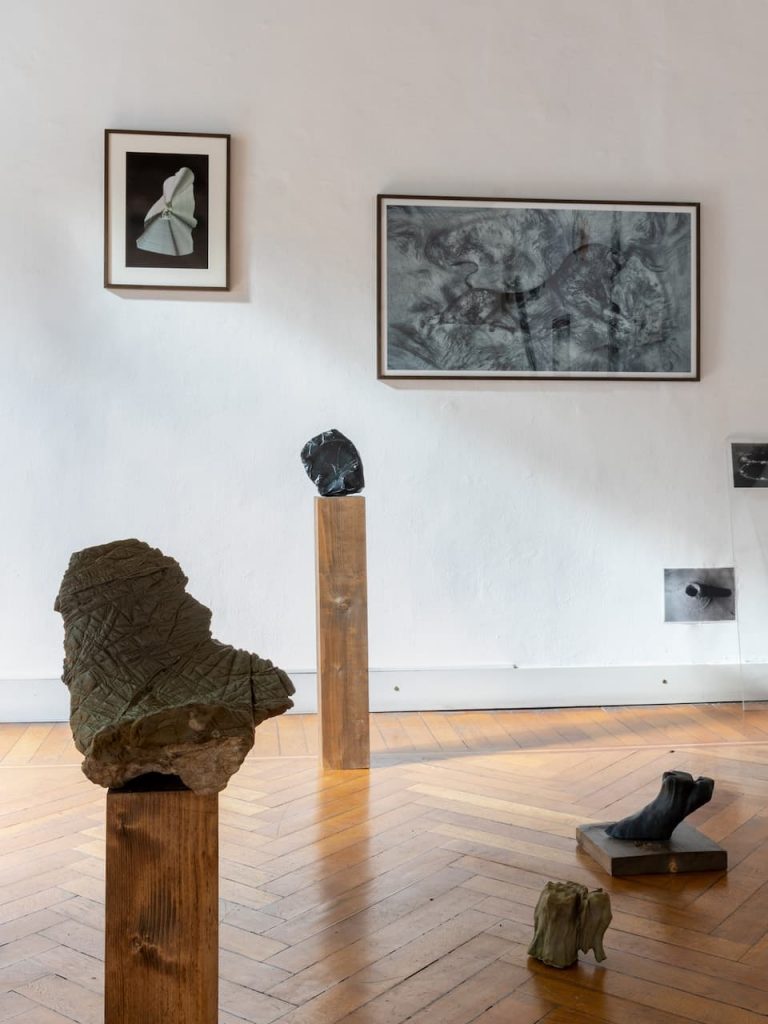 immagine per Installation View. Riccardo Arena: Hyphae - ph. Roberto Marossi