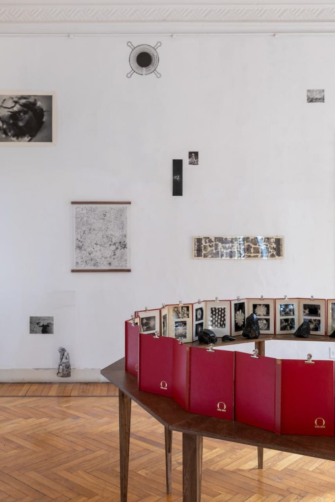 immagine per Installation View. Riccardo Arena: Hyphae - ph. Roberto Marossi
