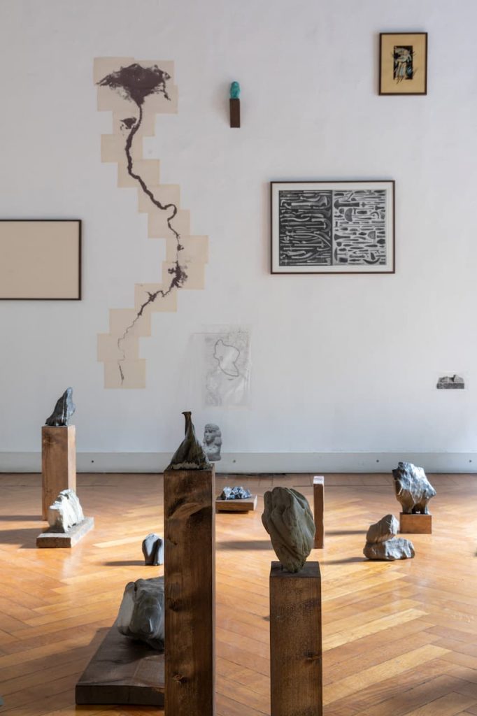 immagine per Installation View. Riccardo Arena: Hyphae - ph. Roberto Marossi
