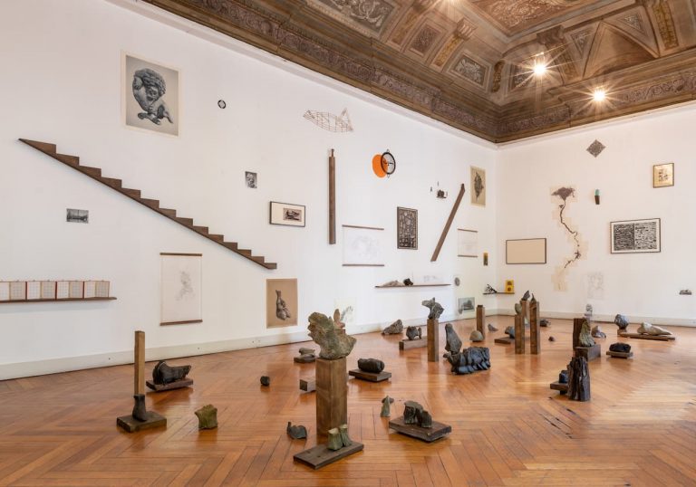 immagine per Installation View. Riccardo Arena: Hyphae - ph. Roberto Marossi