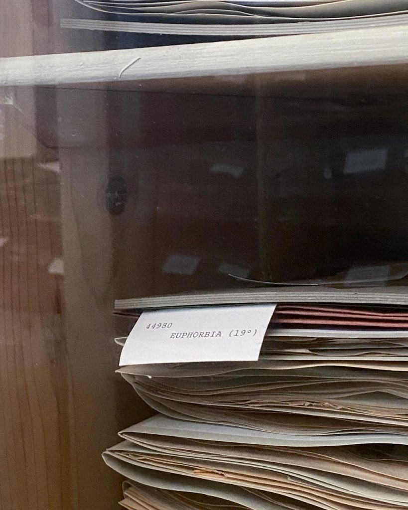 immagine per Formafantasma Cambio