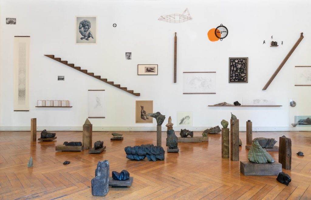 immagine per Installation View. Riccardo Arena: Hyphae - ph. Roberto Marossi