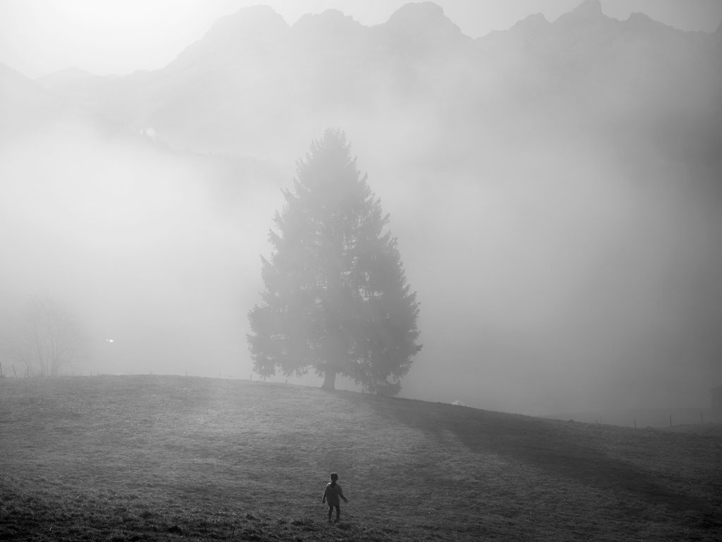 immagine per Paolo Pellegrin