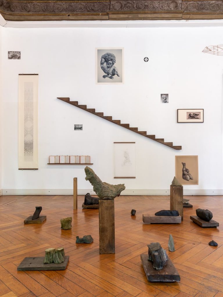 immagine per Installation View. Riccardo Arena: Hyphae - ph. Roberto Marossi