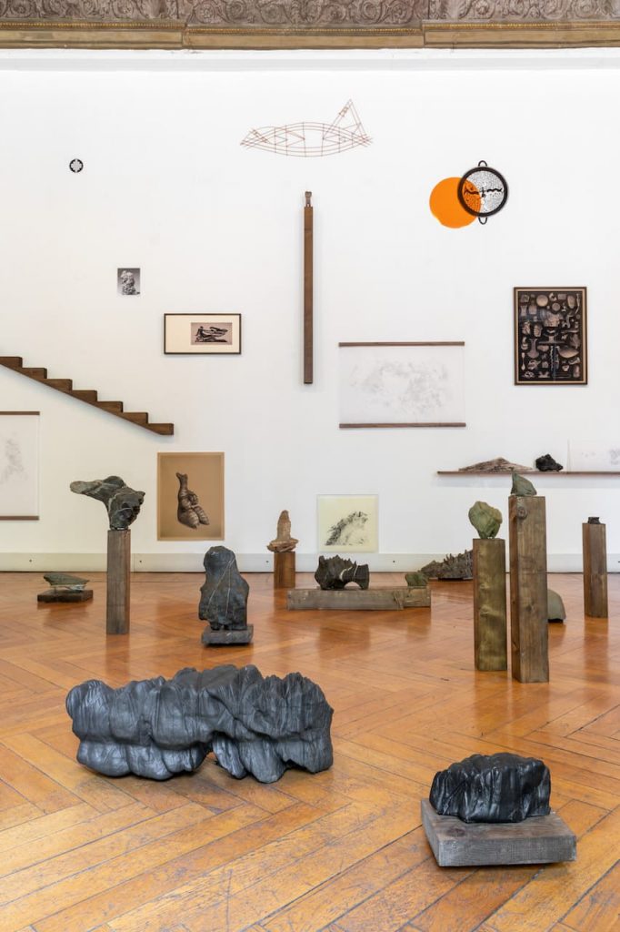 immagine per Installation View. Riccardo Arena: Hyphae - ph. Roberto Marossi